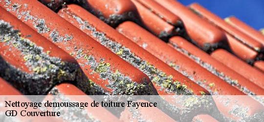 Nettoyage demoussage de toiture 83440