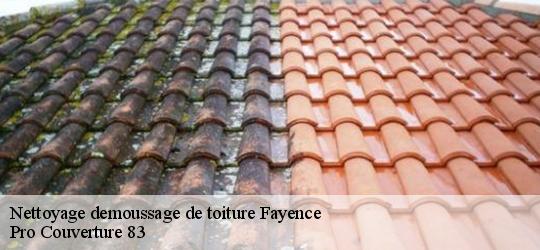 Nettoyage demoussage de toiture fayence-83440 Pro Couverture 83