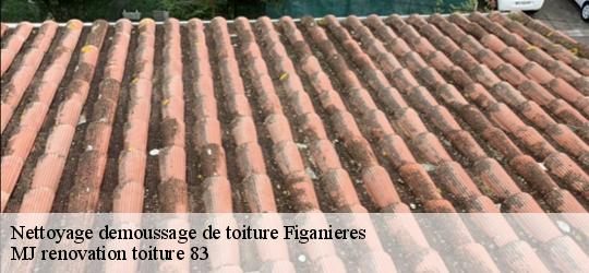 Nettoyage demoussage de toiture  figanieres-83830 MJ renovation toiture 83