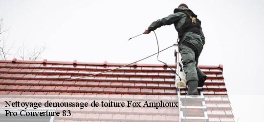 Nettoyage demoussage de toiture 83670