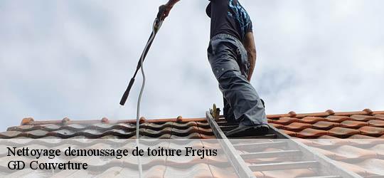 Nettoyage demoussage de toiture 83600