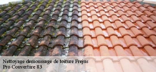 Nettoyage demoussage de toiture frejus-83600 Pro Couverture 83