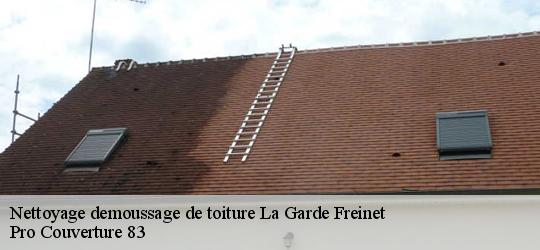 Nettoyage demoussage de toiture la-garde-freinet-83680 Artisan Richard