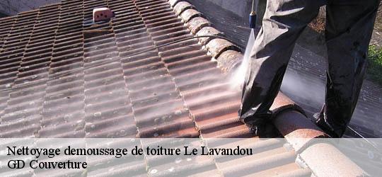 Nettoyage demoussage de toiture le-lavandou-83980 GD Couverture