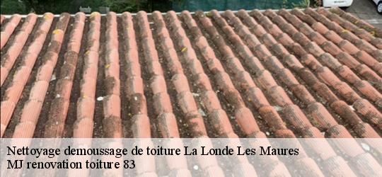 Nettoyage demoussage de toiture  la-londe-les-maures-83250 MJ renovation toiture 83