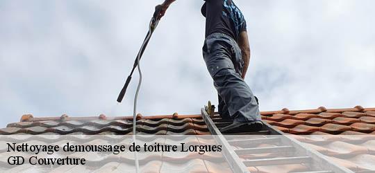 Nettoyage demoussage de toiture  83510