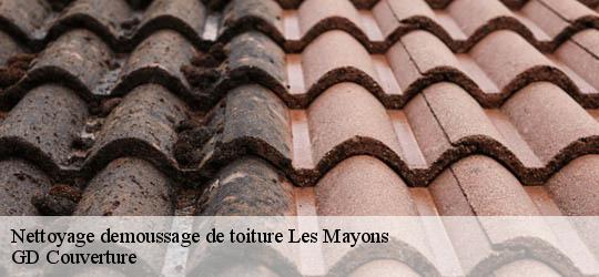 Nettoyage demoussage de toiture 83340