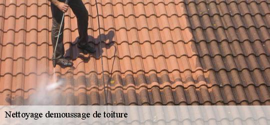 Nettoyage demoussage de toiture 83340