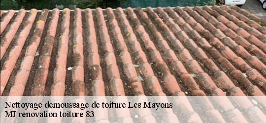 Nettoyage demoussage de toiture  les-mayons-83340 MJ renovation toiture 83