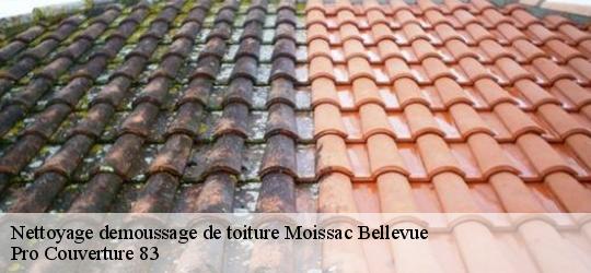 Nettoyage demoussage de toiture  moissac-bellevue-83630 Pro Couverture 83