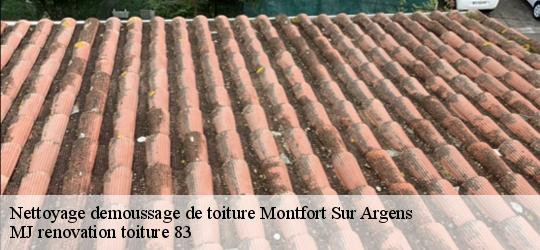 Nettoyage demoussage de toiture  montfort-sur-argens-83570 MJ renovation toiture 83
