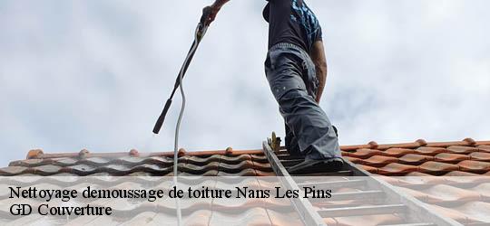 Nettoyage demoussage de toiture 83860