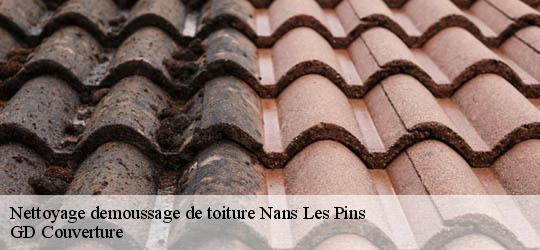 Nettoyage demoussage de toiture 83860