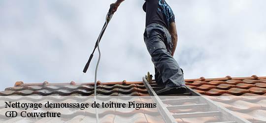 Nettoyage demoussage de toiture 83790