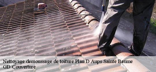 Nettoyage demoussage de toiture  plan-d-aups-sainte-baume-83640 GD Couverture