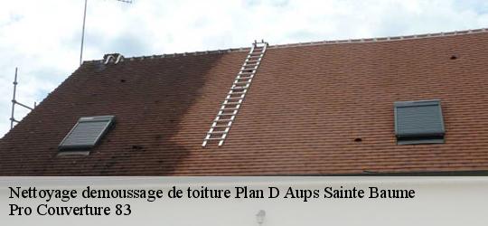 Nettoyage demoussage de toiture plan-d-aups-sainte-baume-83640 Couvreur Richard
