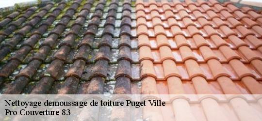 Nettoyage demoussage de toiture  puget-ville-83390 Pro Couverture 83