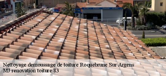 Nettoyage demoussage de toiture  roquebrune-sur-argens-83520 MJ renovation toiture 83