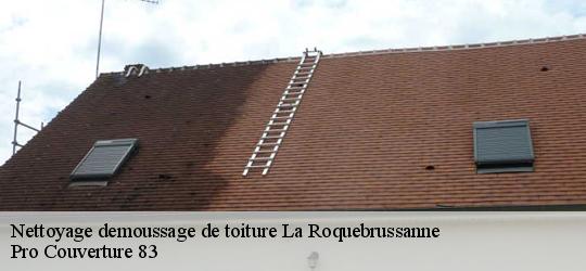 Nettoyage demoussage de toiture la-roquebrussanne-83136 Pro Couverture 83