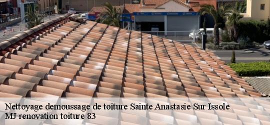 Nettoyage demoussage de toiture  sainte-anastasie-sur-issole-83136 MJ renovation toiture 83