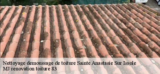 Nettoyage demoussage de toiture  sainte-anastasie-sur-issole-83136 MJ renovation toiture 83