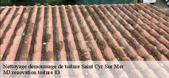 Nettoyage demoussage de toiture  saint-cyr-sur-mer-83270 MJ renovation toiture 83