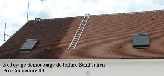 Nettoyage demoussage de toiture saint-julien-83560 Pro Couverture 83