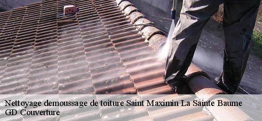 Nettoyage demoussage de toiture  saint-maximin-la-sainte-baume-83470 GD Couverture