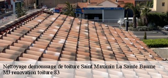 Nettoyage demoussage de toiture  saint-maximin-la-sainte-baume-83470 MJ renovation toiture 83