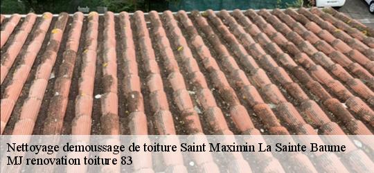 Nettoyage demoussage de toiture  saint-maximin-la-sainte-baume-83470 MJ renovation toiture 83