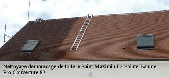 Nettoyage demoussage de toiture saint-maximin-la-sainte-baume-83470