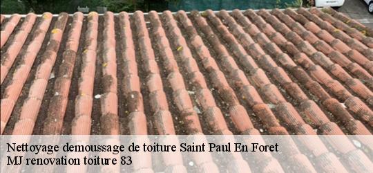 Nettoyage demoussage de toiture  saint-paul-en-foret-83440 MJ renovation toiture 83