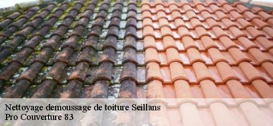 Nettoyage demoussage de toiture seillans-83440 Pro Couverture 83