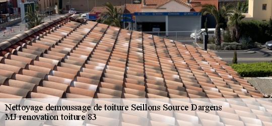 Nettoyage demoussage de toiture  seillons-source-dargens-83470 MJ renovation toiture 83