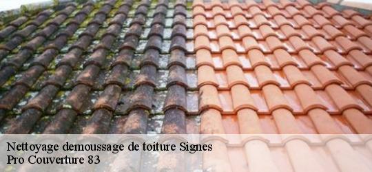 Nettoyage demoussage de toiture  signes-83870 Pro Couverture 83