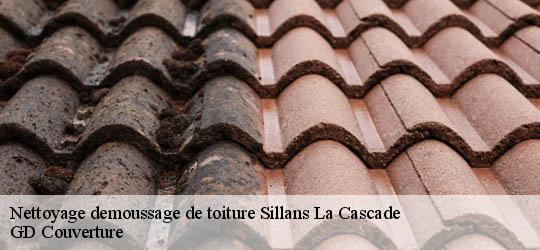 Nettoyage demoussage de toiture 83690