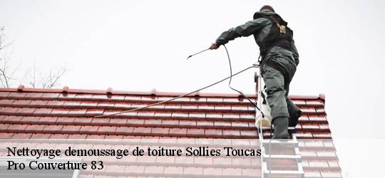 Nettoyage demoussage de toiture  83210