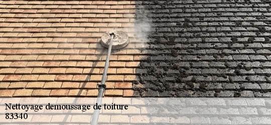 Nettoyage demoussage de toiture  83340