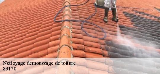 Nettoyage demoussage de toiture 83170