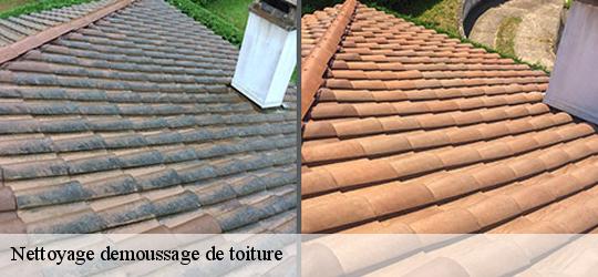 Nettoyage demoussage de toiture 83170