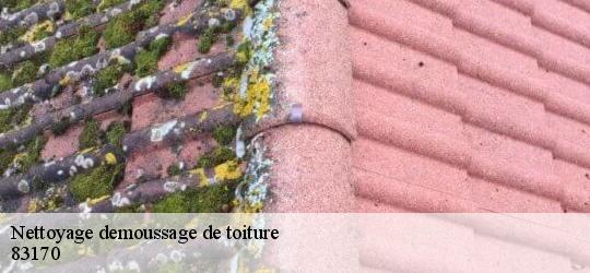 Nettoyage demoussage de toiture 83170