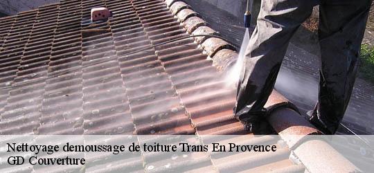 Nettoyage demoussage de toiture trans-en-provence-83720 GD Couverture