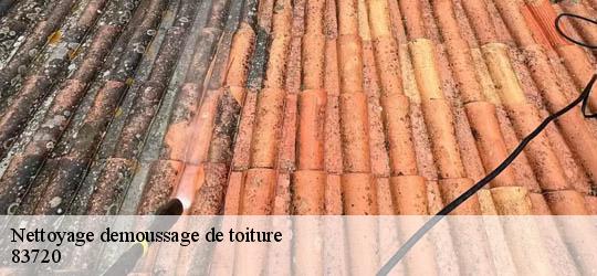 Nettoyage demoussage de toiture 83720