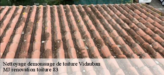 Nettoyage demoussage de toiture  vidauban-83550 MJ renovation toiture 83