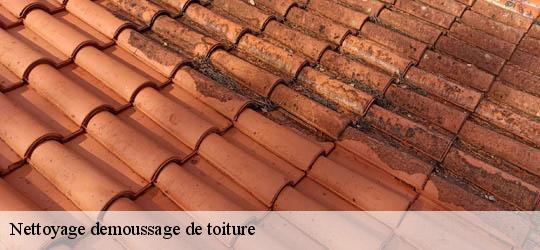 Nettoyage demoussage de toiture 83820