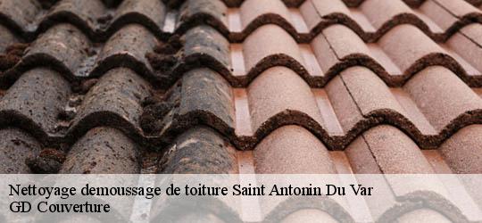 Nettoyage demoussage de toiture 83510