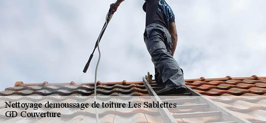 Nettoyage demoussage de toiture  83500