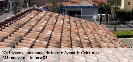 Nettoyage demoussage de toiture  ayguade-ceinturon-83400 MJ renovation toiture 83