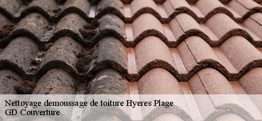 Nettoyage demoussage de toiture 83400