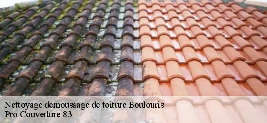 Nettoyage demoussage de toiture boulouris-83700 Pro Couverture 83